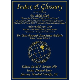 [INDEX] Index & Glossary de David P. Amrein (inglés)
