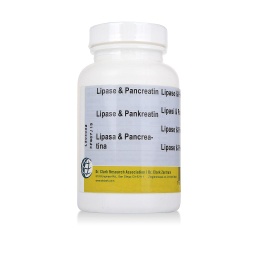 [LIP100] Lipase &amp; Pancreatin, 500 mg 100 capsules
